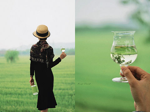 产品摄影|天山红枣酒