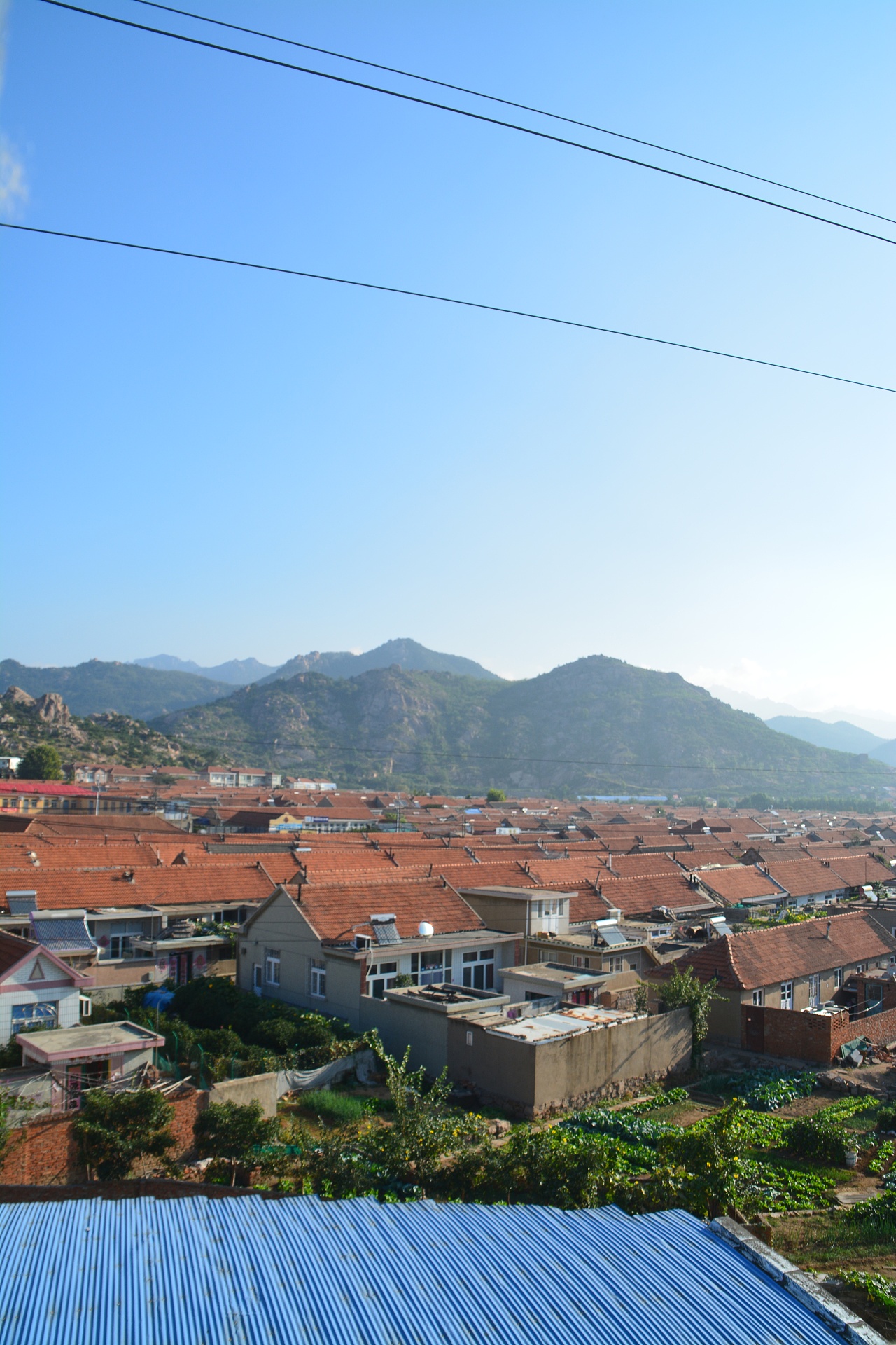 青岛 崂山脚下 村落晨雾