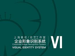 VI 