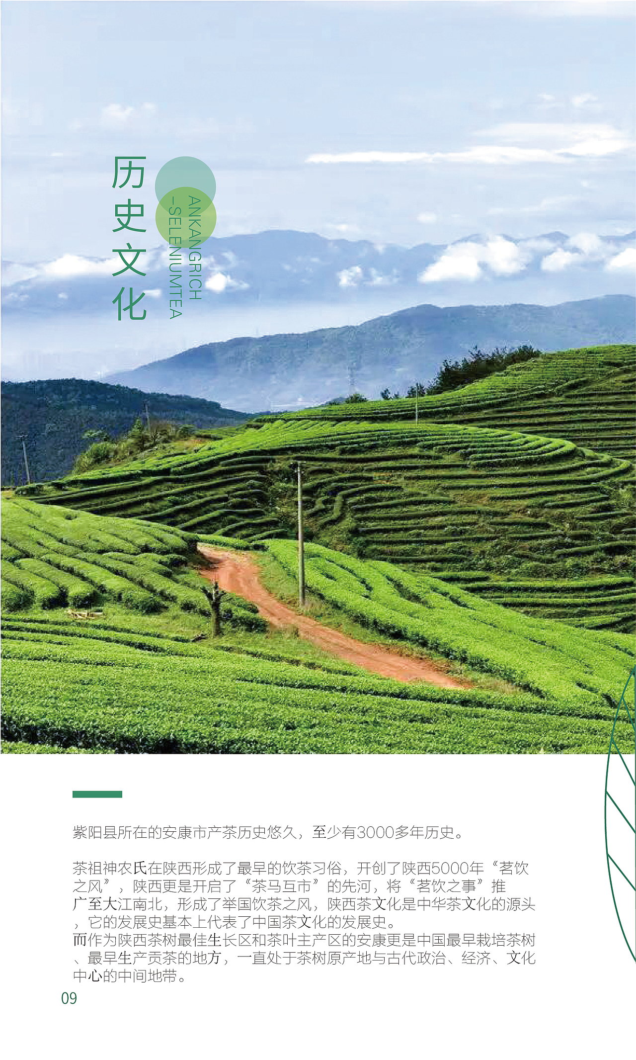 安康富硒茶宣传册设计