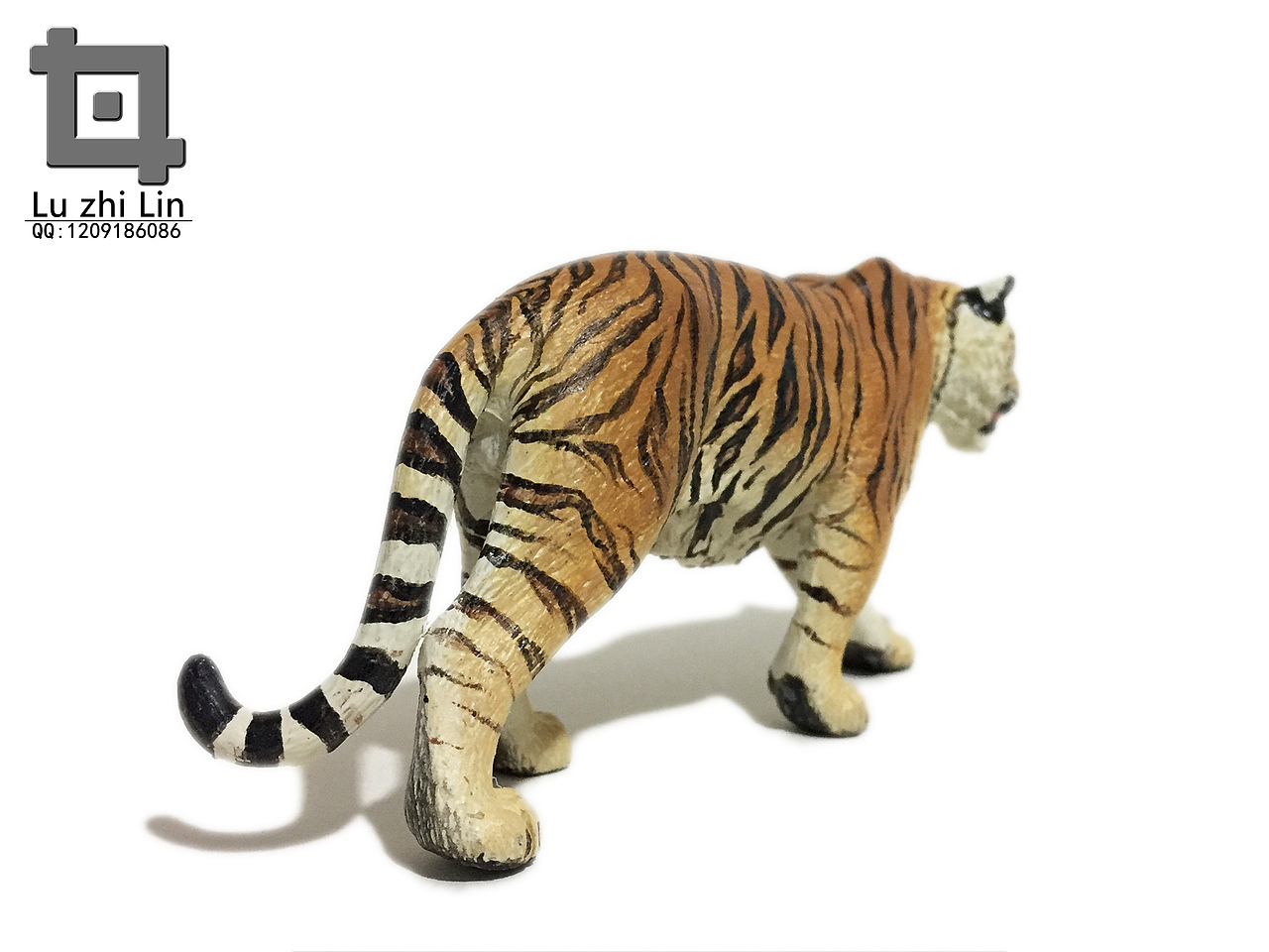 动物模型 老虎展示