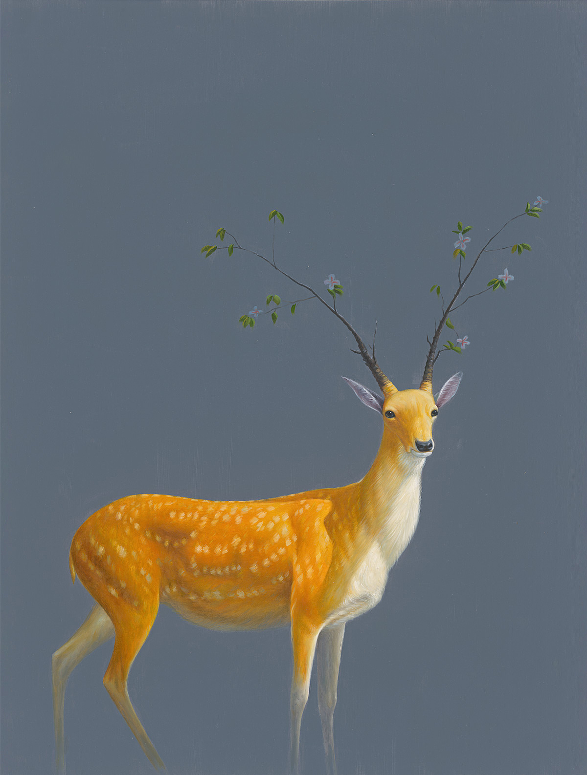 【圣墨尊宝】作品-金鹿献瑞-05