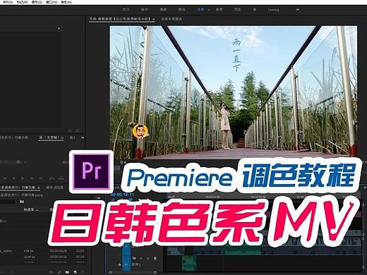 Premiere 如何快速制作日韩色系MV！思维比技术更重要！