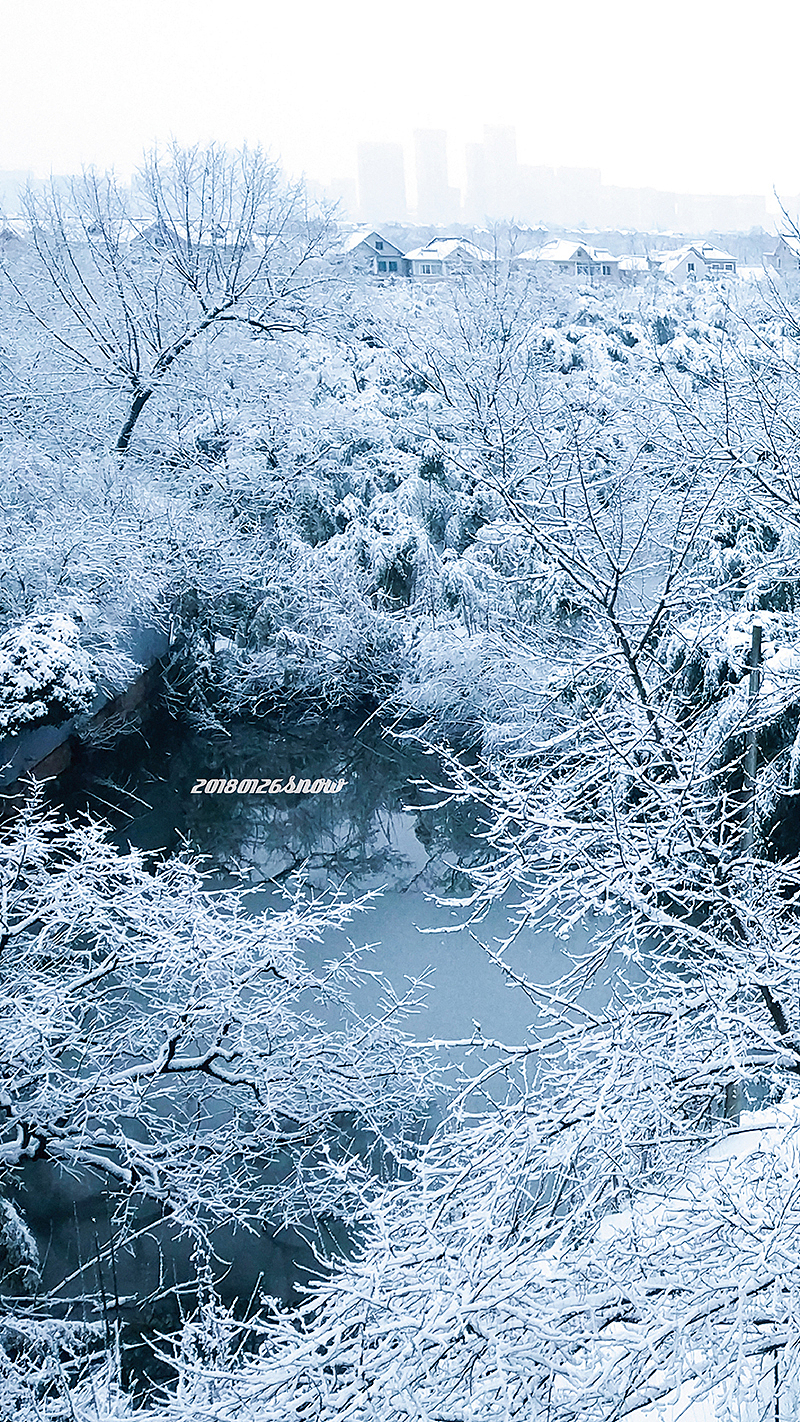 2018杭州初雪 手机屏保（图ZMTA2ODE2NjA4） - 风光摄影 - 站酷设计师JustLoulou原创素材 - 站酷ZCOOL