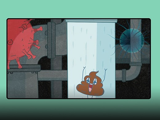 知识嗑儿创作者主页_青岛插画师-站酷zcool