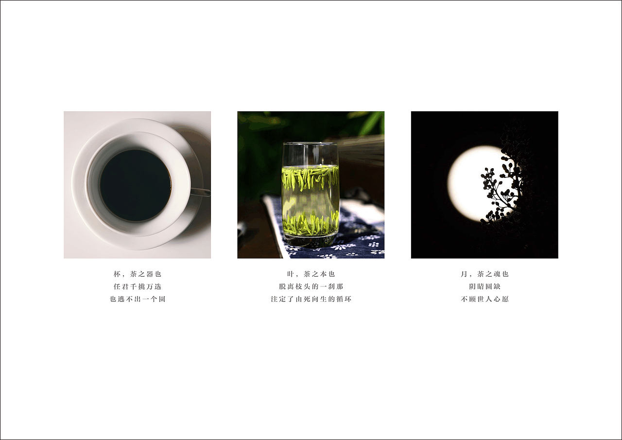 犹江绿月茶展厅