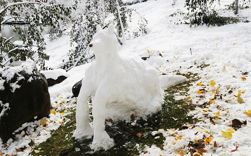 《要坚持画画》—下雪啦（图ZMTMwNzA1Njg=） - 艺术插画 - 站酷设计师李沐霖Morning原创素材 - 站酷ZCOOL
