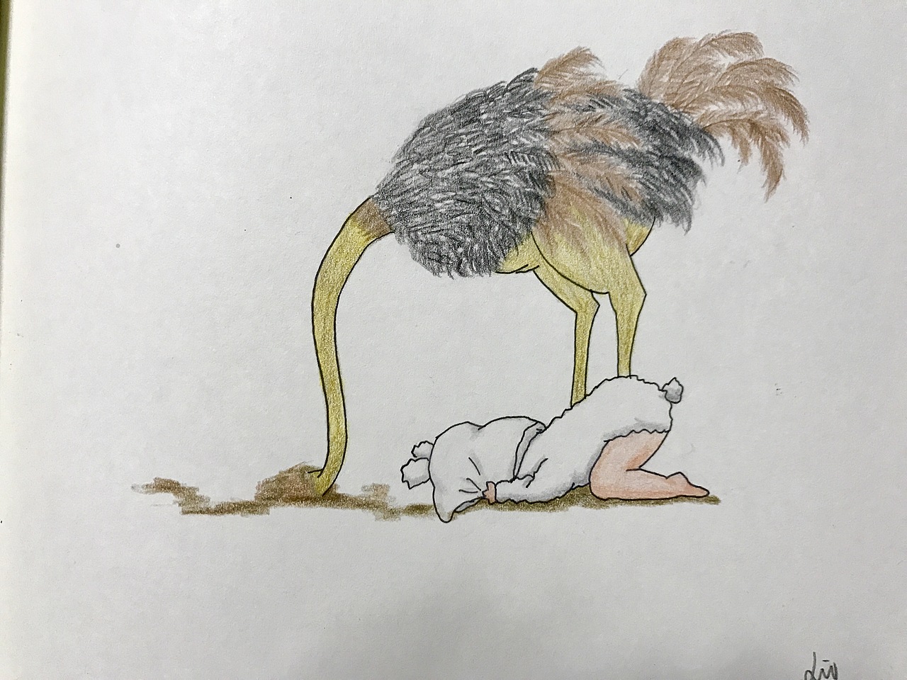 鸵鸟睡觉喜欢把头埋进土里, 我也喜欢埋进…枕头里