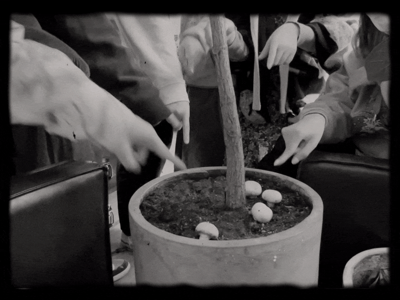 2022 KASAKII 新年礼物 | 祝你有个「菇得来福」