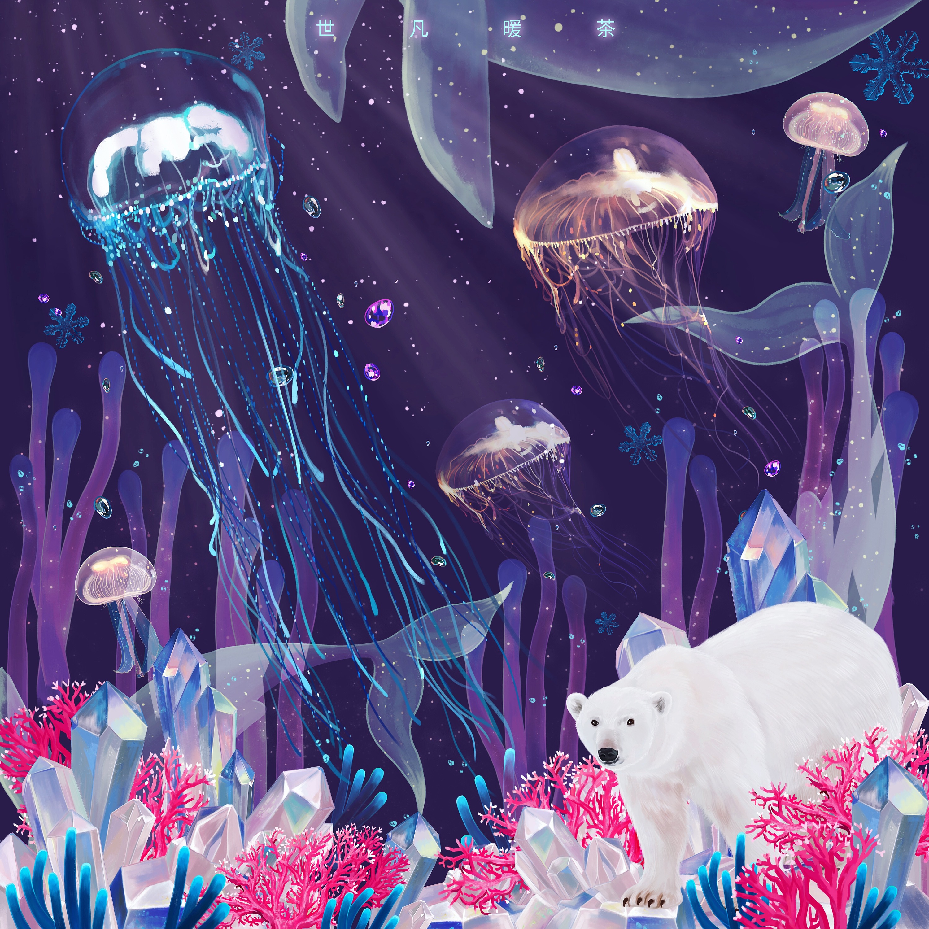 海洋系列包装插画