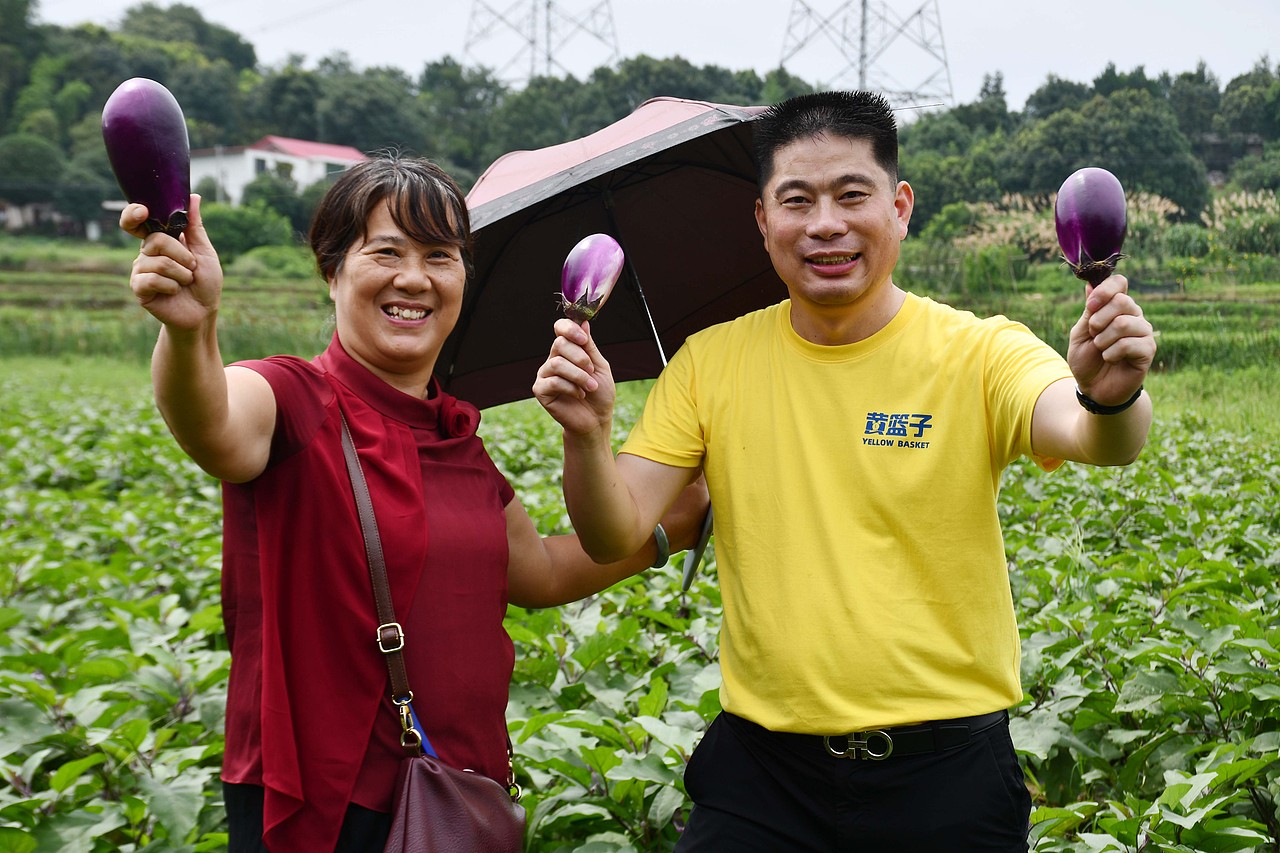 黄篮子生鲜会员探访黄篮子蔬菜种植基地 - 天然无公害
