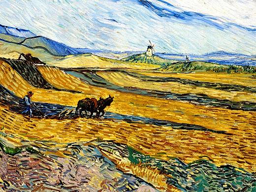 日常工作及练习