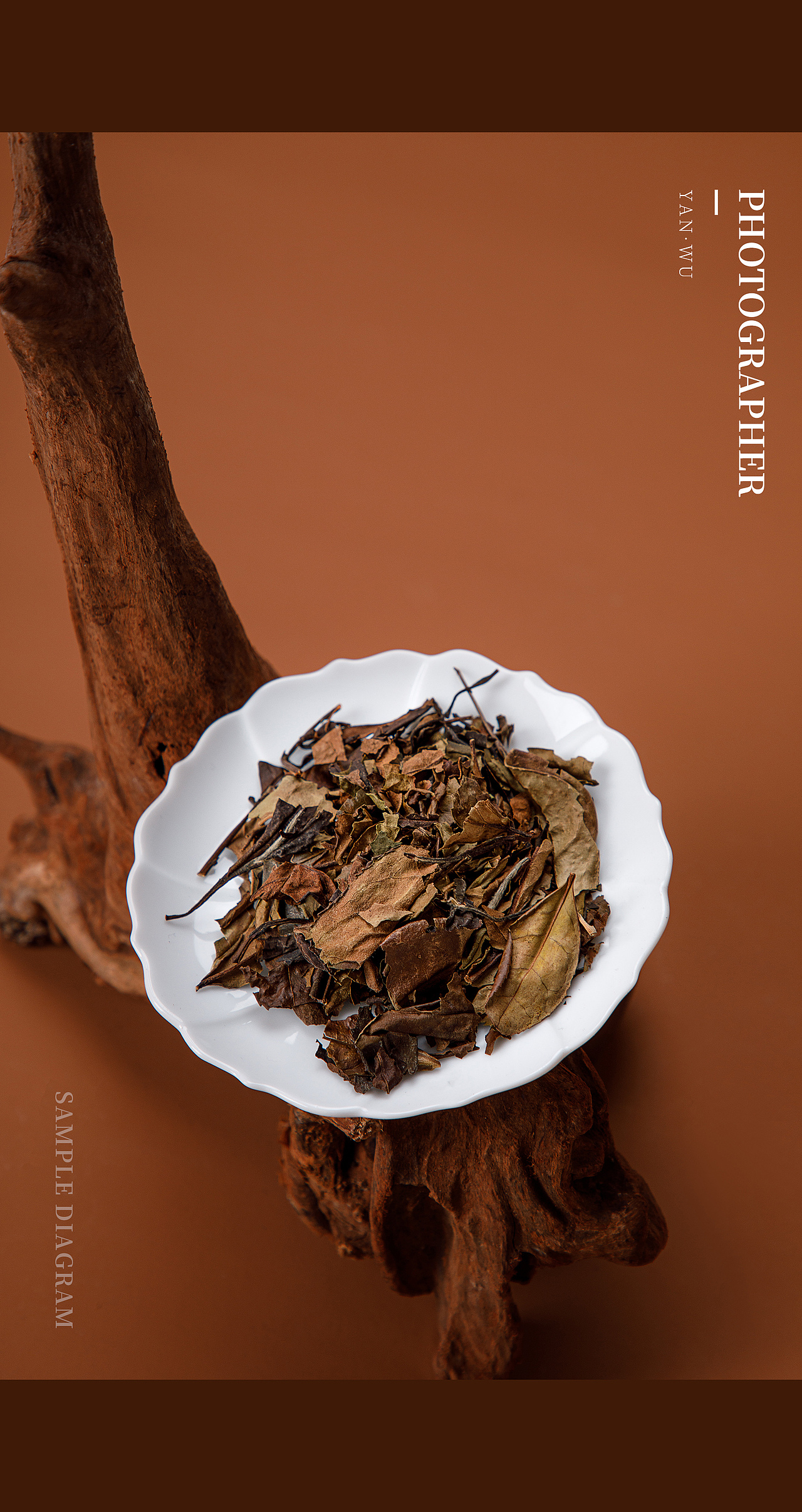 福鼎白茶老白茶-拍摄（图ZMjkxMzk2NDk2） - 产品摄影 - 站酷设计师研物视觉原创素材 - 站酷ZCOOL