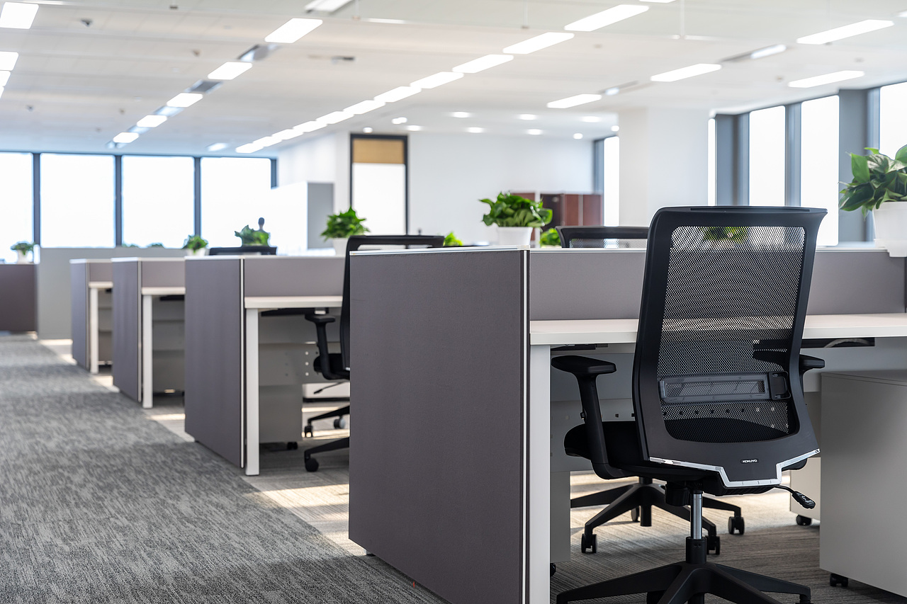 佳能（中国）完工照片