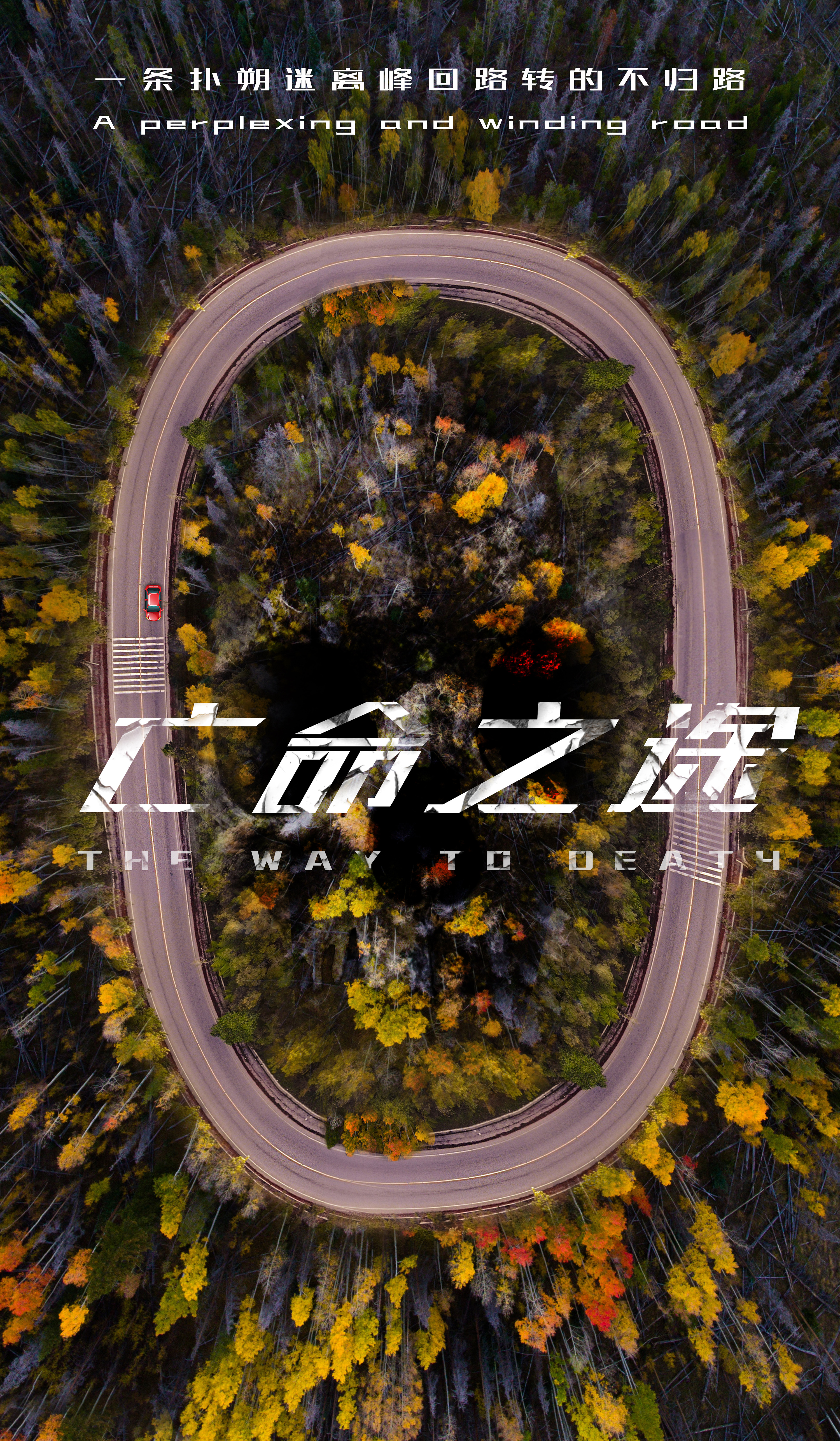 《亡命之途》电影海报|平面|海报|花开木桥畔 - 原创作品 - 站酷 (zco