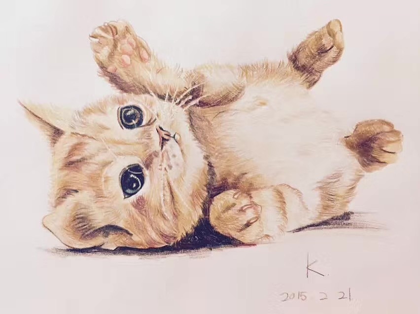 这些年的随手画