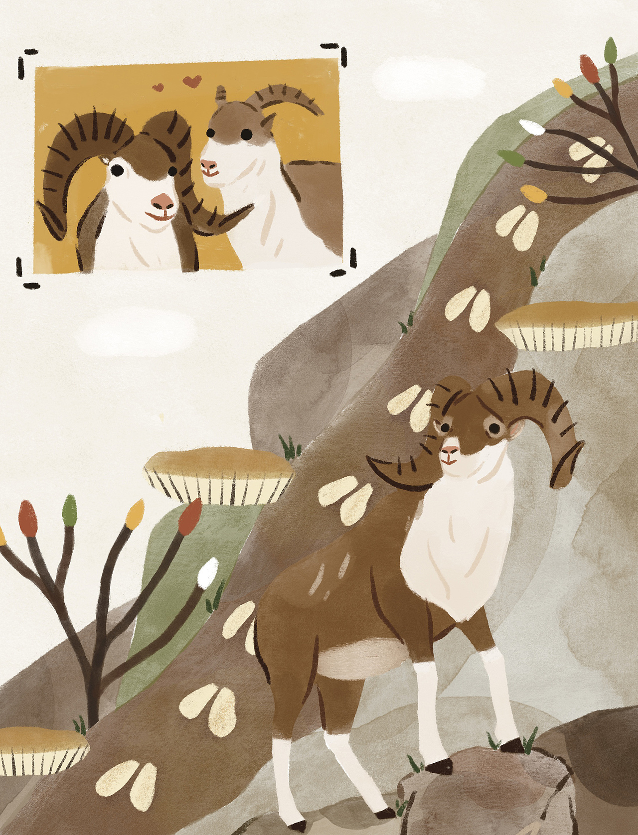 了不起的中国地理 动物篇