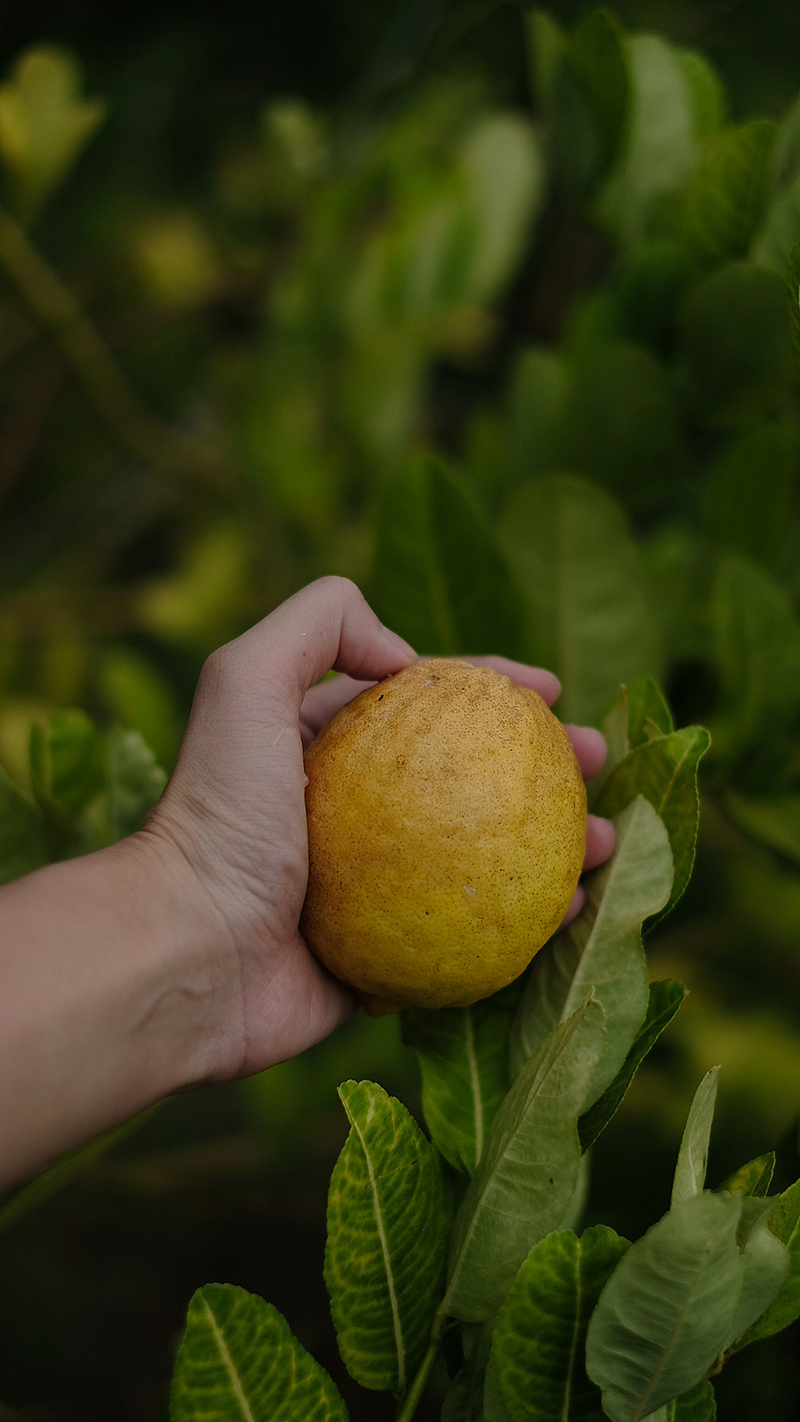 东山岛上一个庐（图ZMjI2MzYzNTYw） - 风光摄影 - 站酷设计师PererZhou原创素材 - 站酷ZCOOL