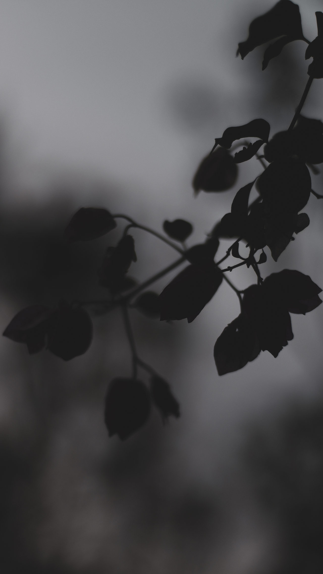 jn.（图ZMjQwNzY5MjQ4） - 人文/纪实摄影 - 站酷设计师恶趣未原创素材 - 站酷ZCOOL