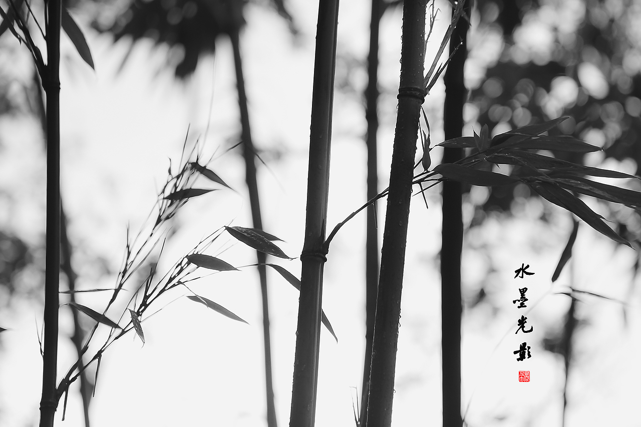 水墨光影