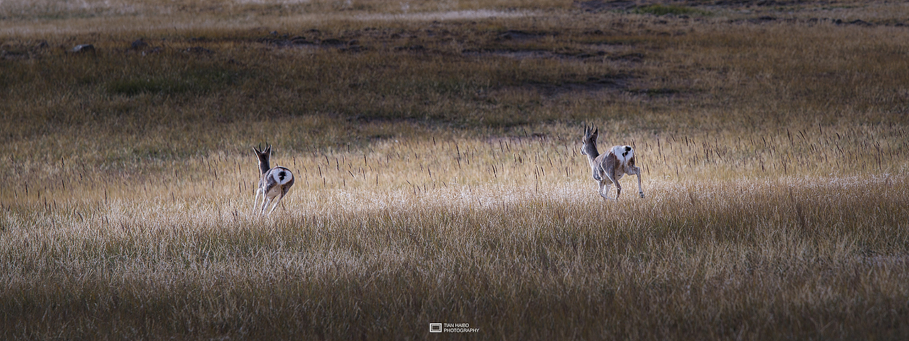 地儿来了·记忆里的那次穿越