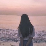 摘星的猫的头像