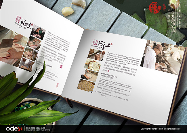 鱼丸画册（图ZMTA5MzUyNjA=） - 书籍/画册 - 站酷设计师oden奥登文化原创素材 - 站酷ZCOOL
