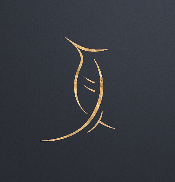 夏 中国风字体练习