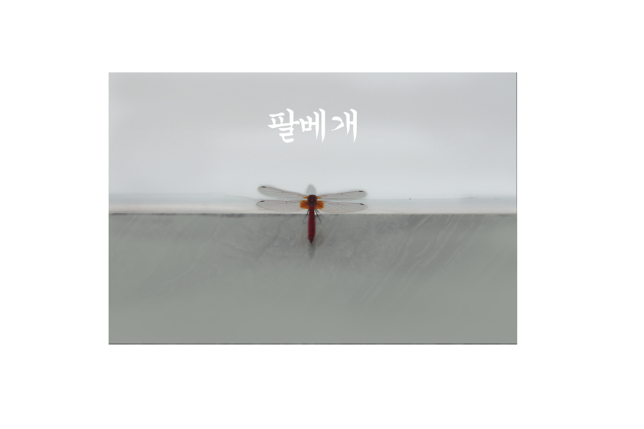 【VE】摄影作品