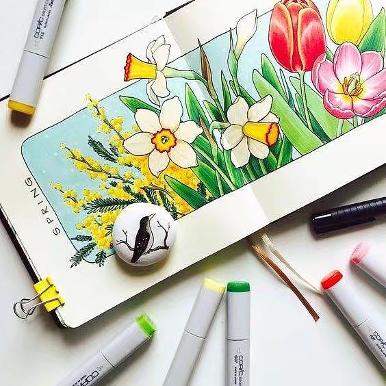 清新手绘（图ZMTI5Mjc0NjQw） - 艺术插画 - 站酷设计师一只虎斑喵呀原创素材 - 站酷ZCOOL