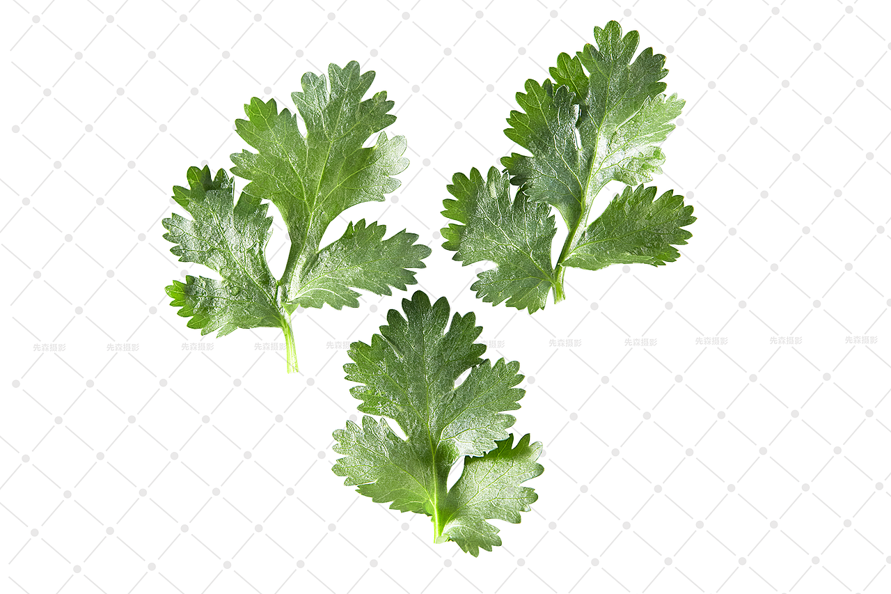 美食拍摄美食摄影（图ZMjYwNTA2MjQw） - 美食摄影 - 站酷设计师关耳先森美食摄影原创素材 - 站酷ZCOOL