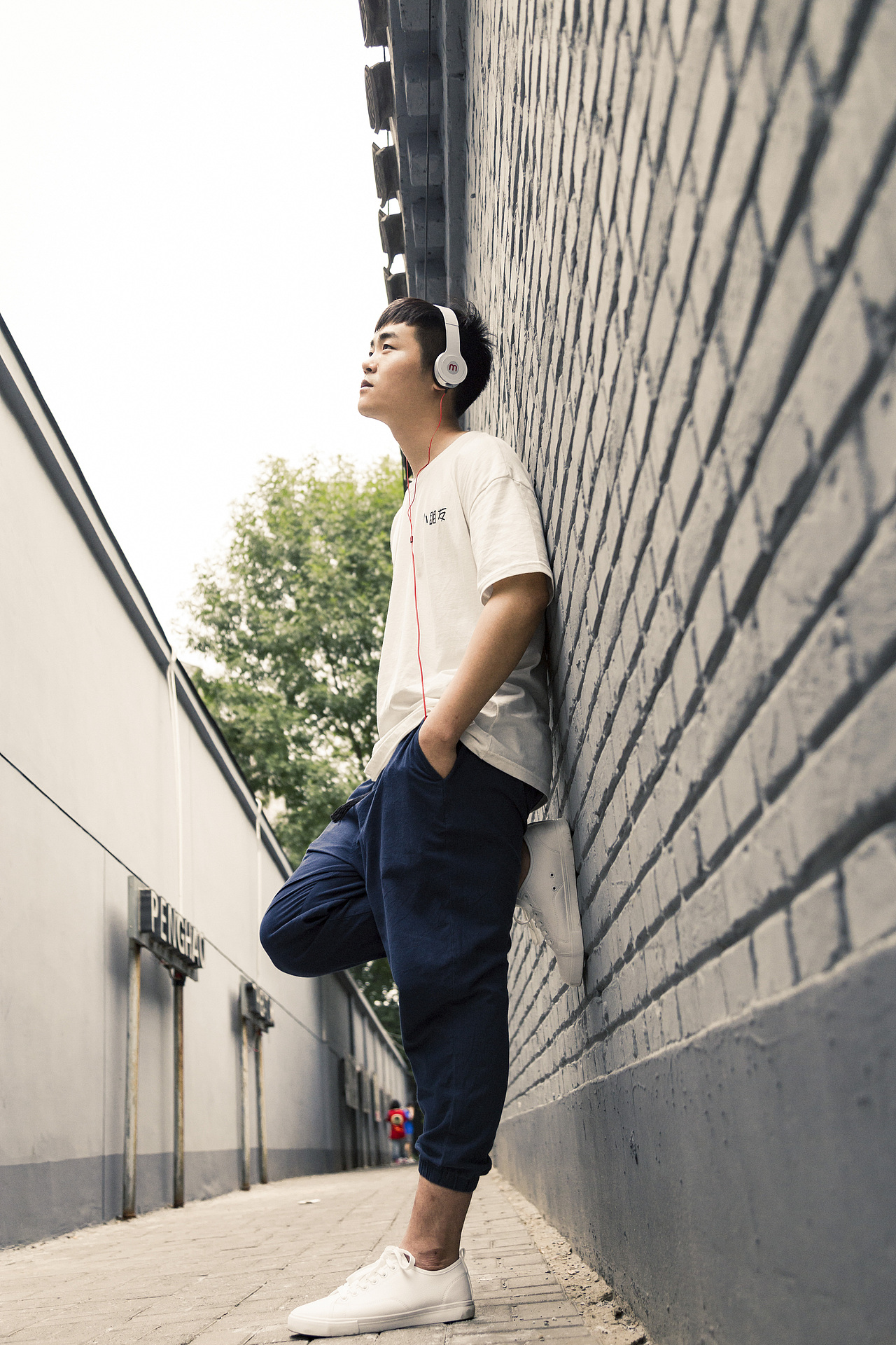 一只唱歌的小哥哥