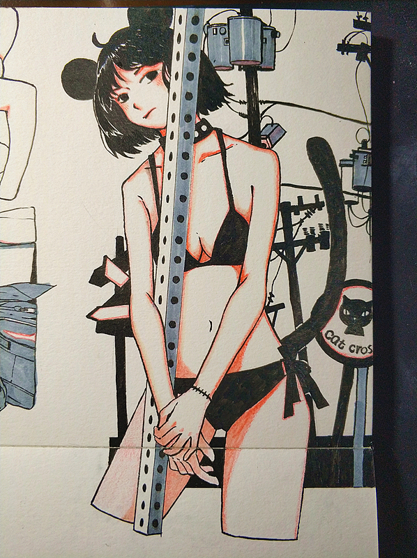 填满插图本计划