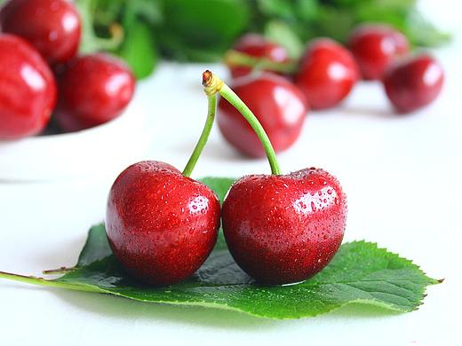 2016 61  烟台张格庄 61  福山大樱桃