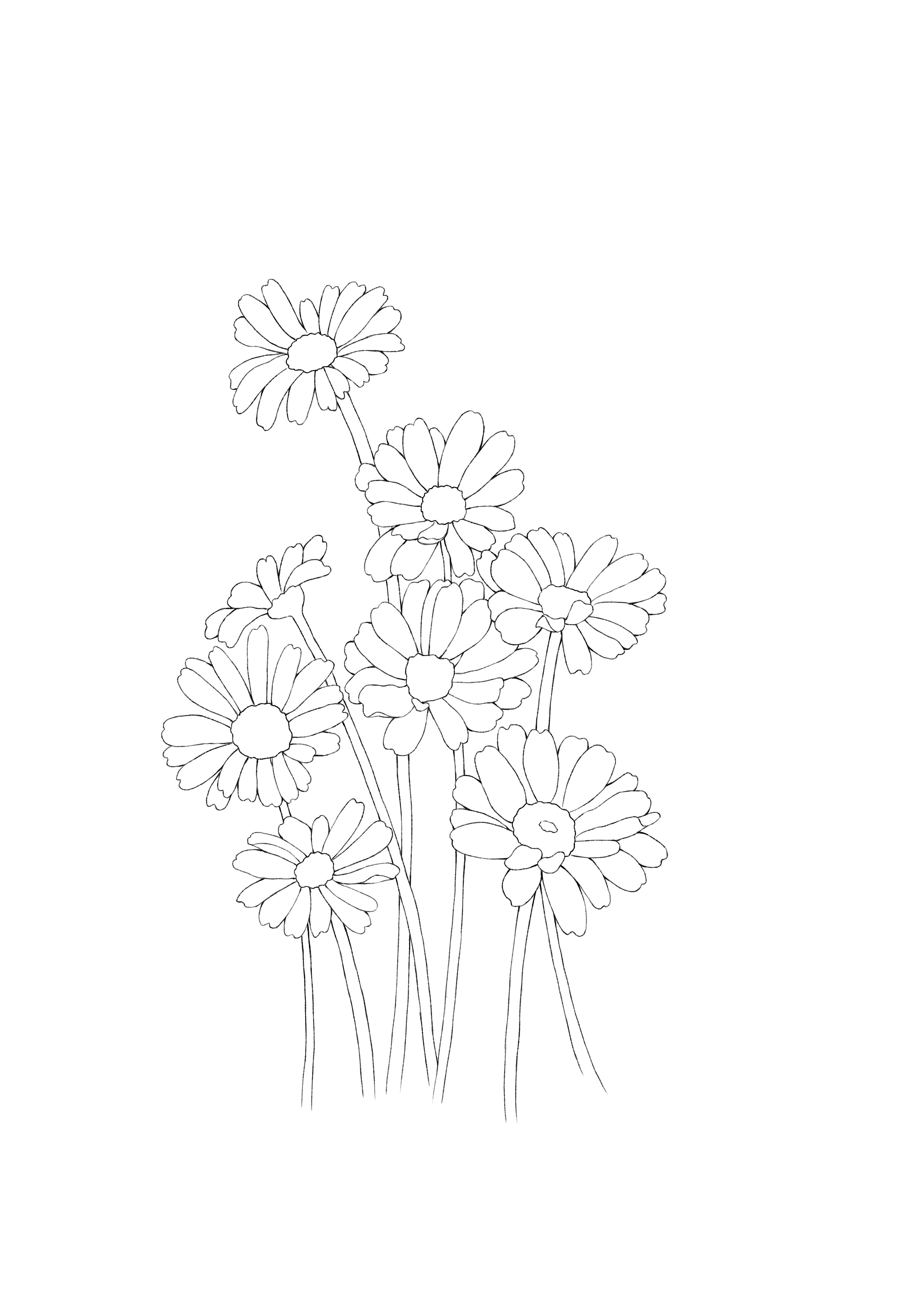 植物手绘线稿 简单图片