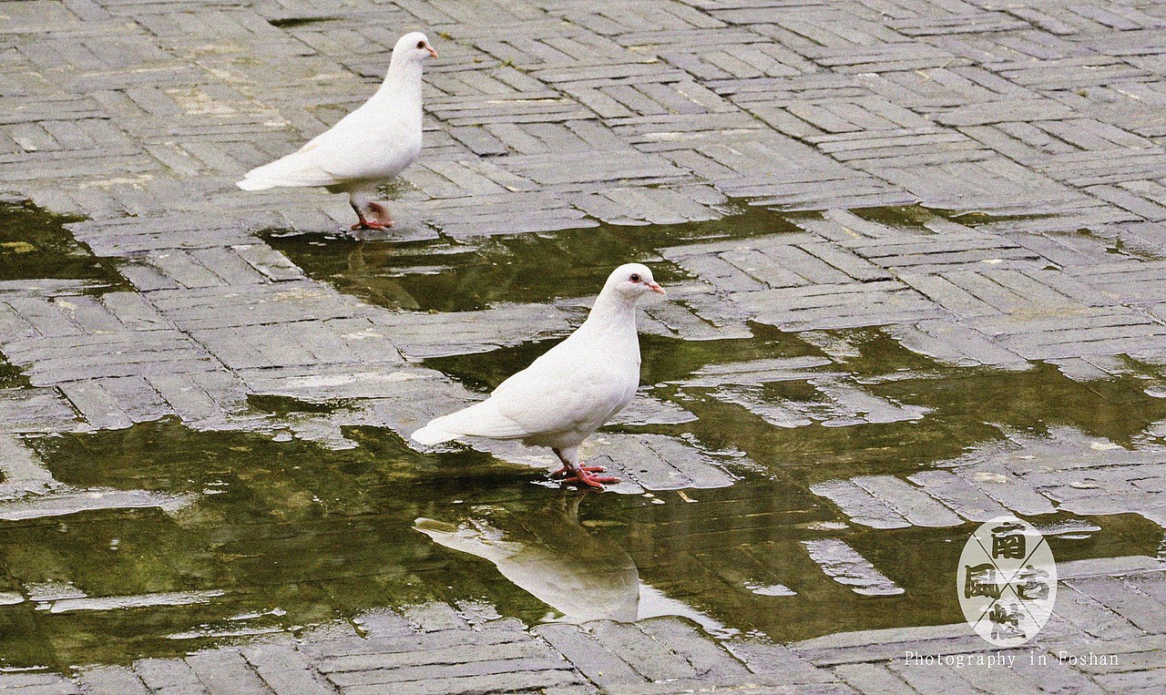 南风古灶（图ZMzUwNDAwNzY=） - 风光摄影 - 站酷设计师陈劲烘原创素材 - 站酷ZCOOL