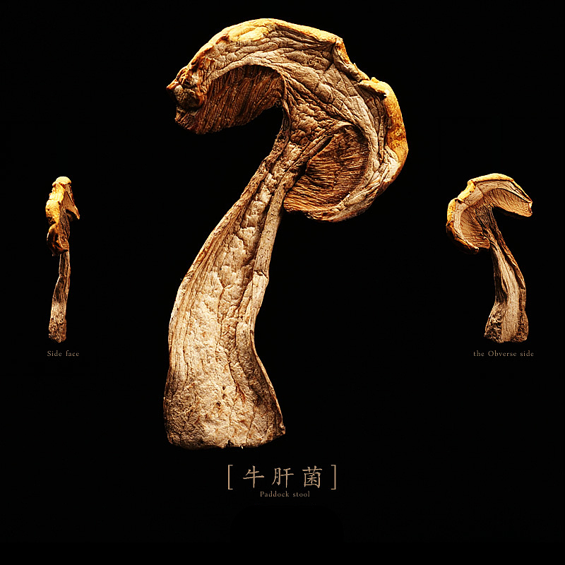 蘑菇星球-蘑菇干品摄影（图ZMTE4NDU3MDQ=） - 产品摄影 - 站酷设计师菜男原创素材 - 站酷ZCOOL