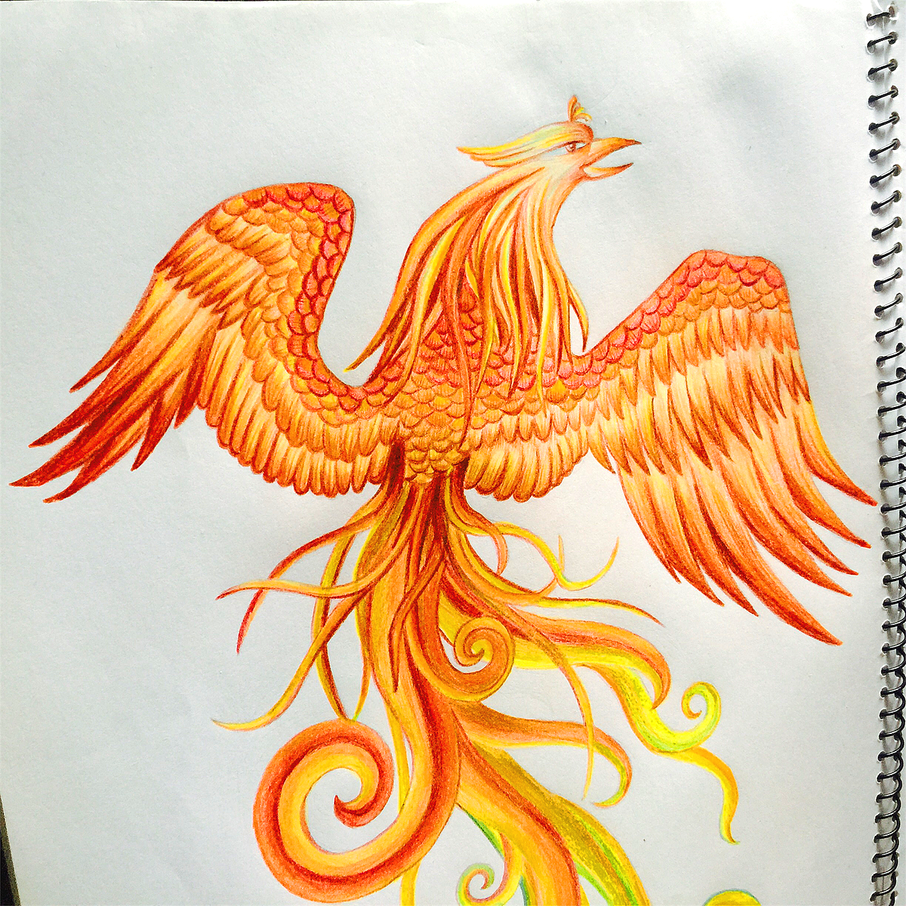 彩铅,凤凰
