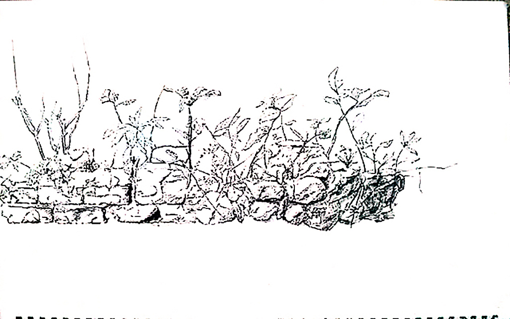 分享几张绘画习作，个别临摹（图ZMzcxNDg4OTY=） - 创作习作 - 站酷设计师丘山大道原创素材 - 站酷ZCOOL