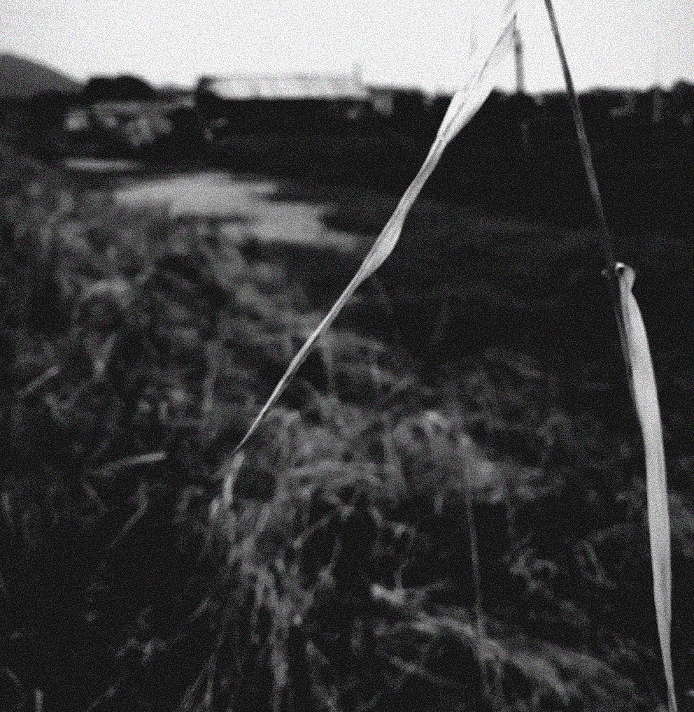 无题（图ZOTAxNTIxNjg=） - 其他摄影 - 站酷设计师小隐西亭原创素材 - 站酷ZCOOL