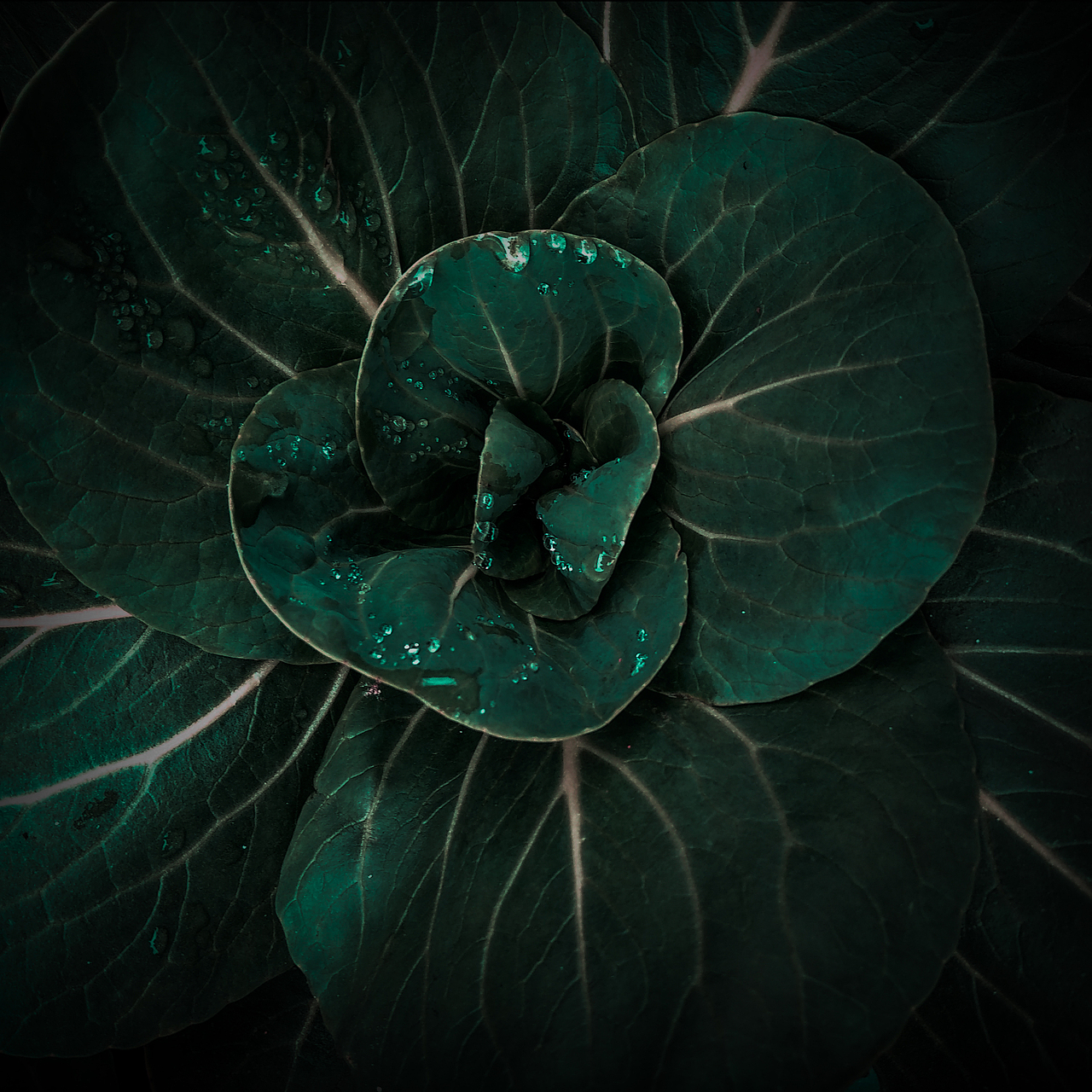 被忽视的自然美（图ZMTI0OTU3OTMy） - 风光摄影 - 站酷设计师Jauver原创素材 - 站酷ZCOOL