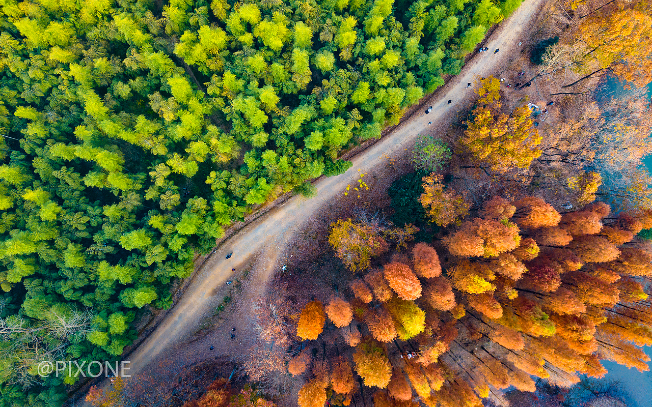 秋去春来（图ZMTM3OTU4MDk2） - 风光摄影 - 站酷设计师PIXONE原创素材 - 站酷ZCOOL