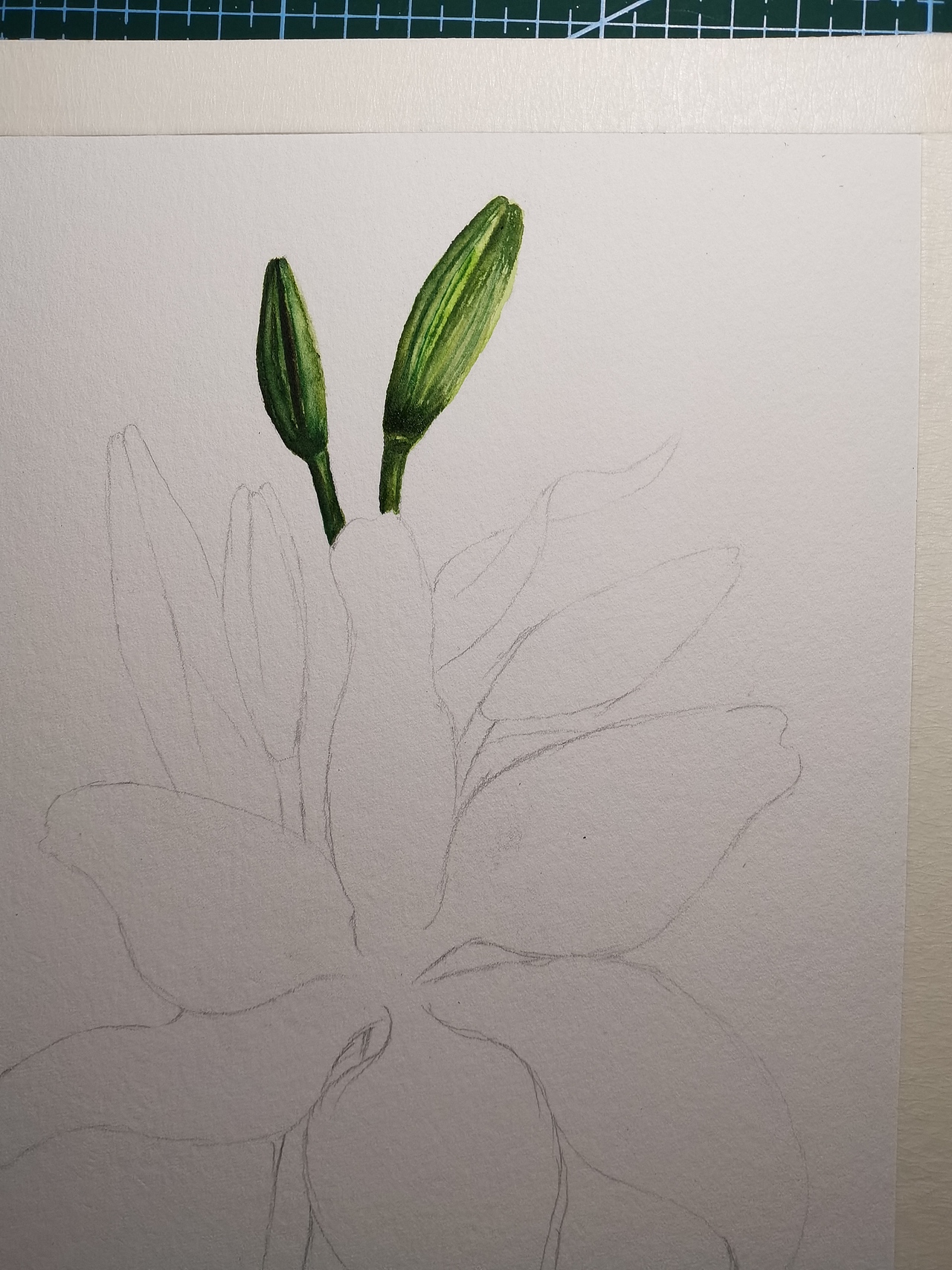 原创水彩花卉作品（图ZMjg3ODYwODQ0） - 艺术插画 - 站酷设计师夏天的画原创素材 - 站酷ZCOOL