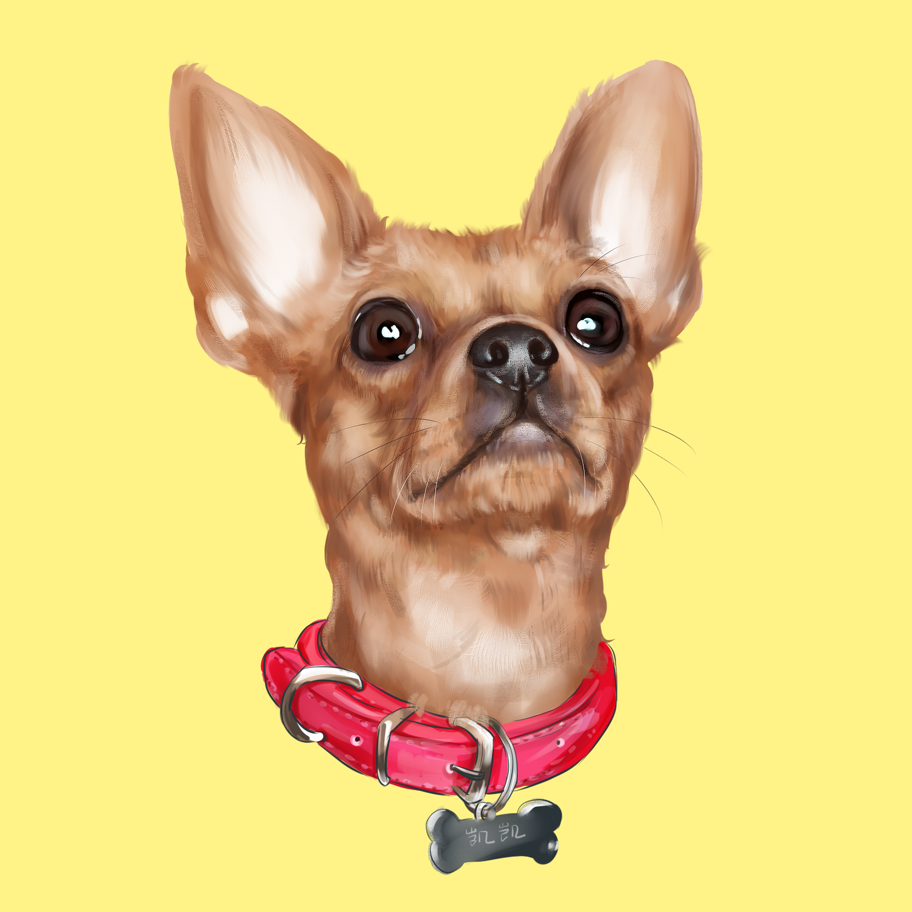 宠物手绘 宠物插画 吉娃娃