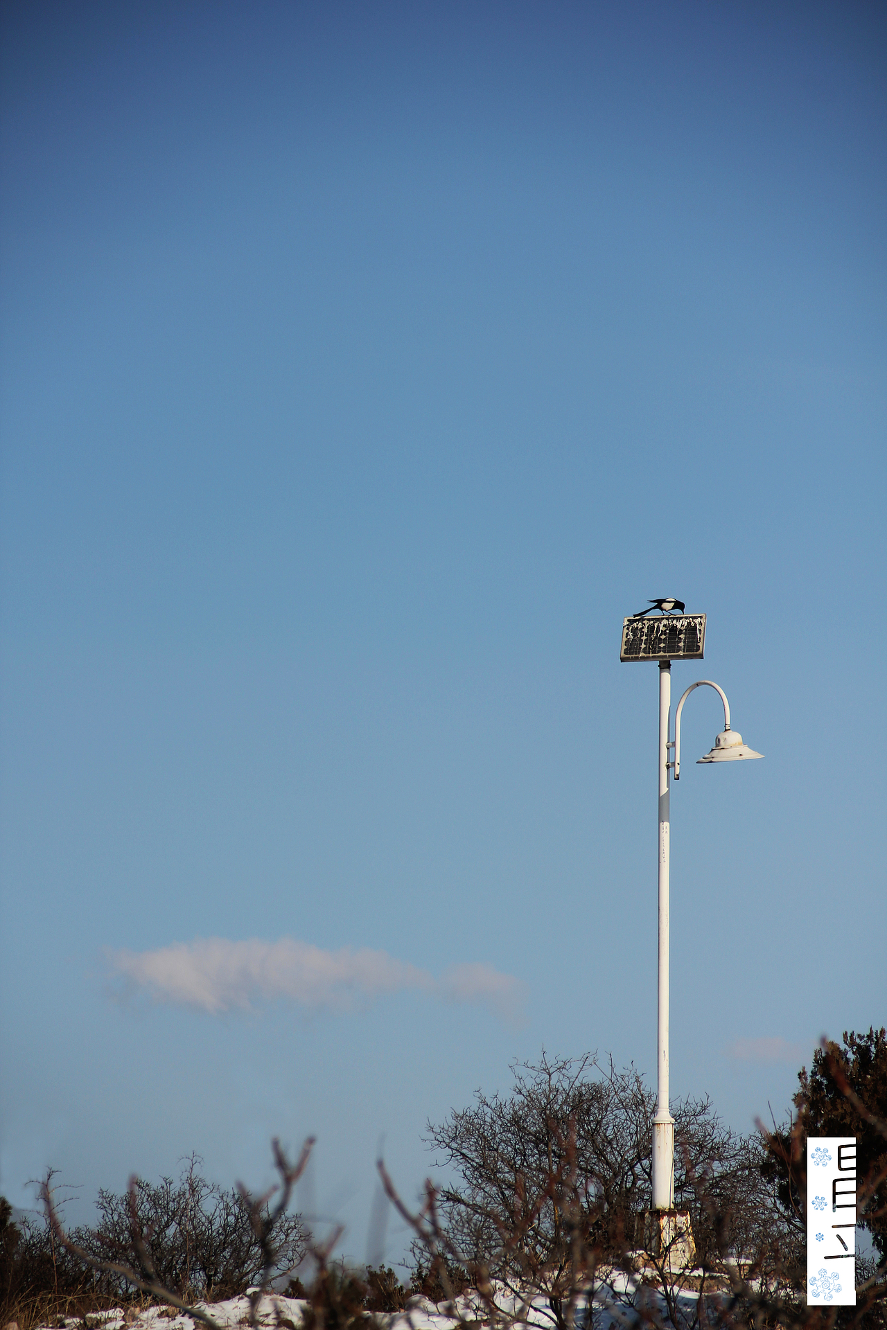 《 北山风光 》