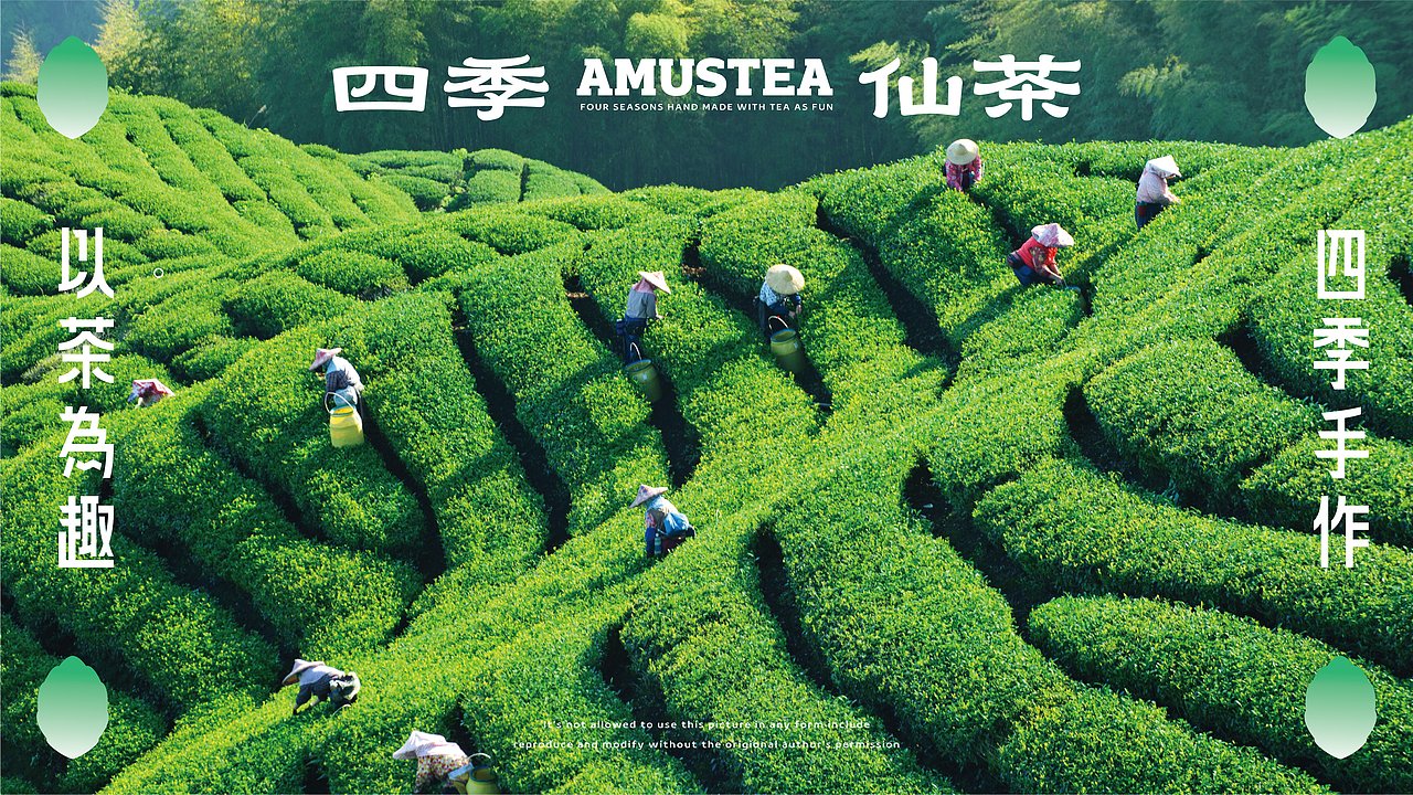 以茶为趣 四季手作——扬州趣茶品牌升级