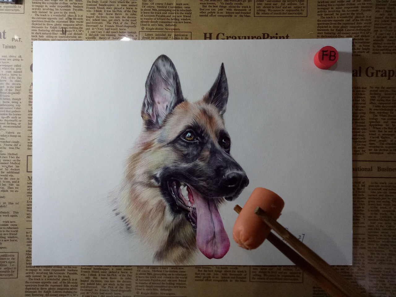 彩色圆珠笔画-动物篇