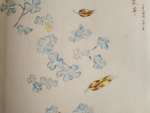 酢酱草（个人主页-ZNzA1MjA5ODg=） - 绘画 - 站酷设计师五彩蜚蜚原创素材 - 站酷ZCOOL