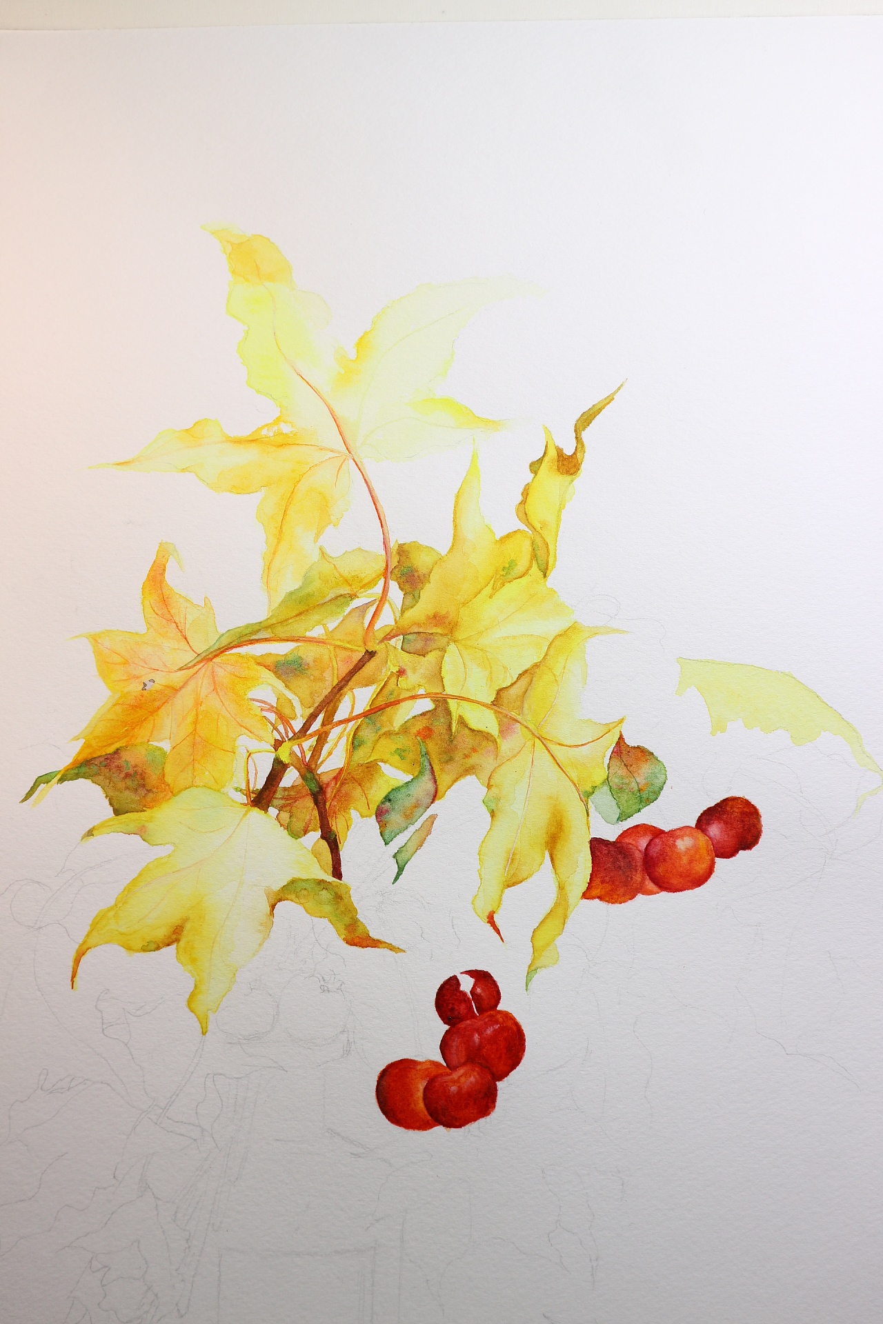 水彩画-瓶中秋天 - 原创作品 - 站酷(zcool)