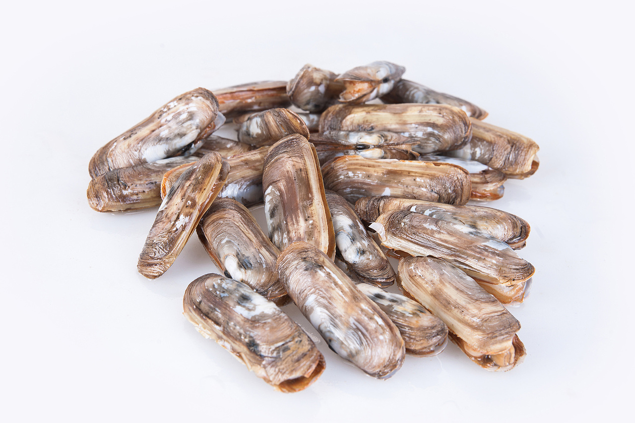 酒店菜谱（图ZOTI2MTg4NA==） - 产品摄影 - 站酷设计师蓝太阳TNT原创素材 - 站酷ZCOOL